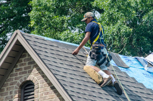 Professional Roofing Contractor in Ohatchee, AL